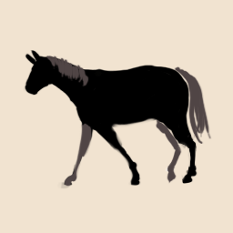 004.png